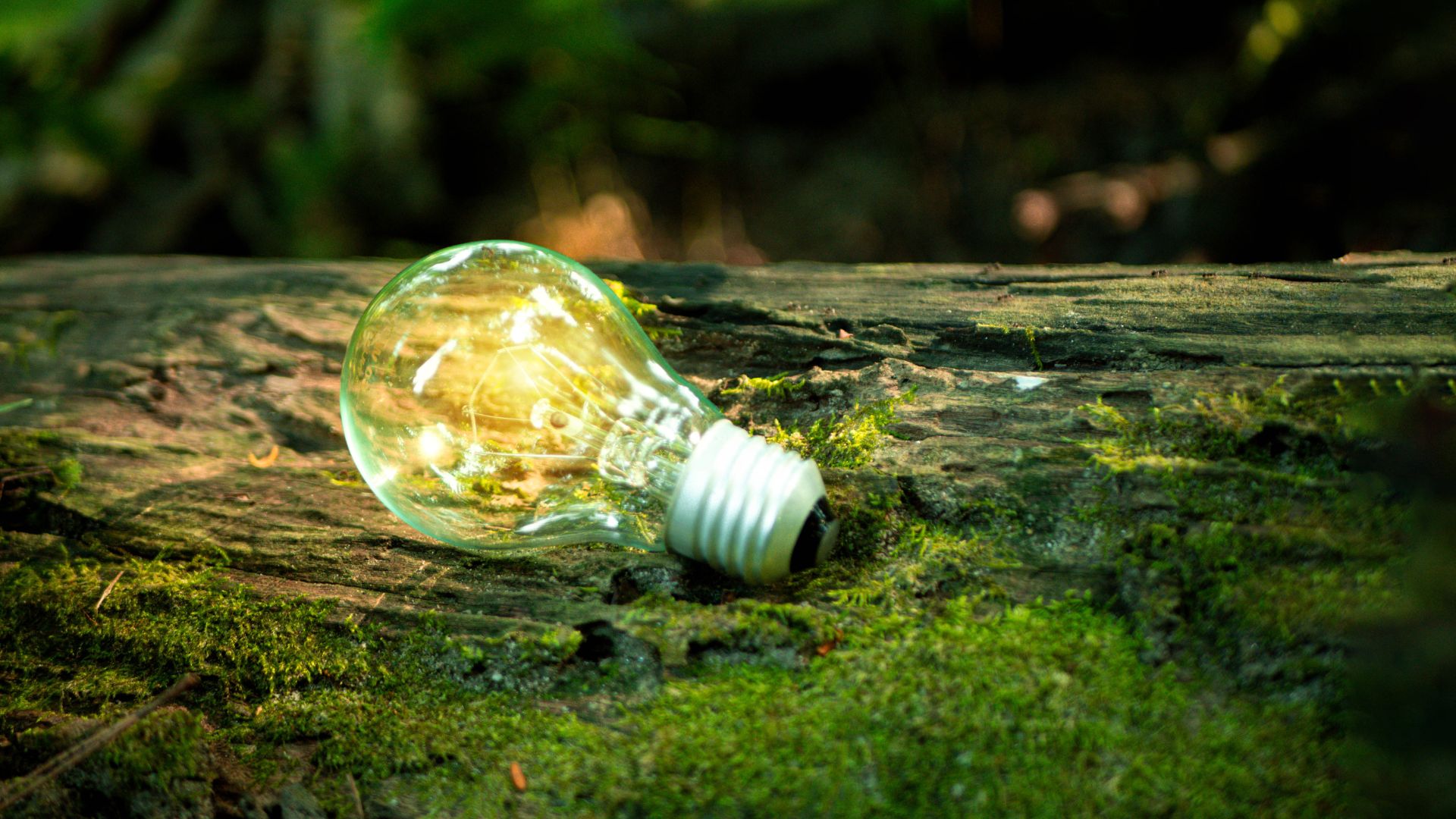 Lee más sobre el artículo Hazte distribuidor Total Energies
